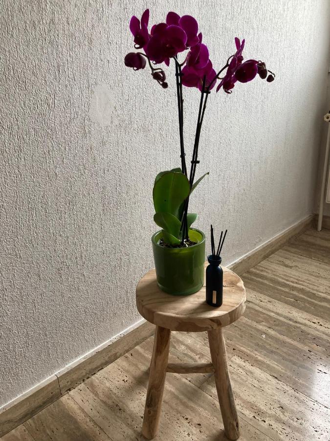 Rustig appartement in het groen met terras Kontich Buitenkant foto